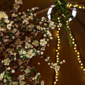 Fairy lights