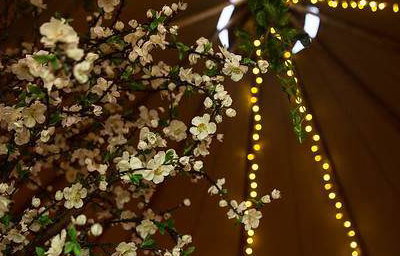 Fairy lights