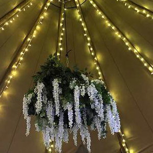 Fairy Lights_wisteria