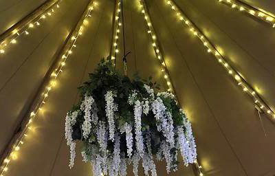 Fairy Lights_wisteria