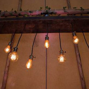 Edison lightbulb display