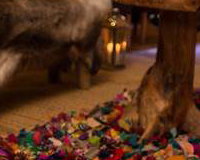 Multi-coloured rug