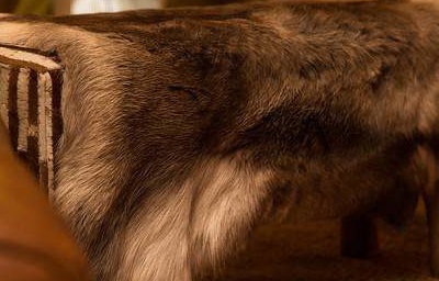 Reindeer skin throw