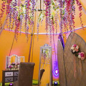 Wisteria