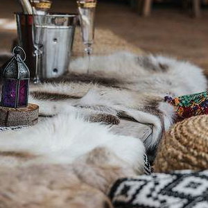 reindeer throws_lanterns_cushions