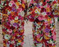 Roaming Flower Men 1 