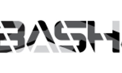 DJ Basha