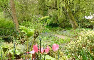 Gardens