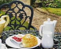 Cream Teas in the garden 