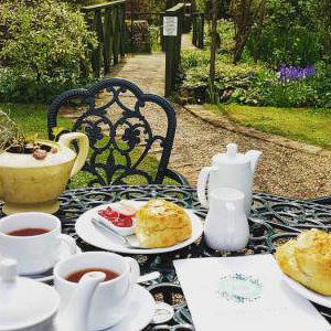Cream Teas in the garden 