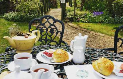 Cream Teas in the garden 