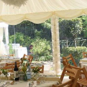 Weddings at the Well