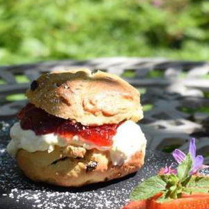 Cream scone
