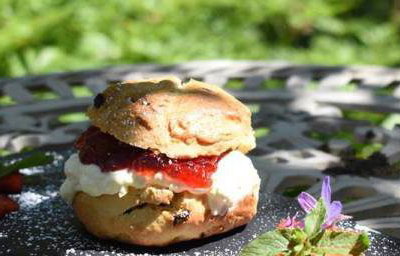 Cream scone