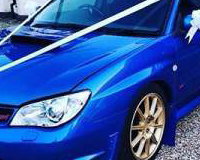 Scoobs