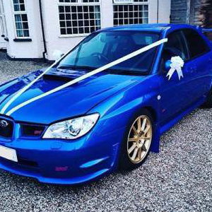 Scoobs