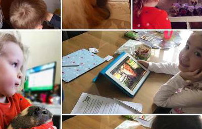ZOOm, virtual animal encounters now available!