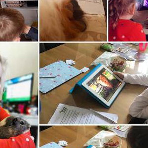 ZOOm, virtual animal encounters now available!