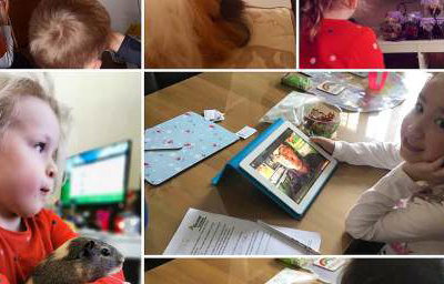 ZOOm, virtual animal encounters now available!