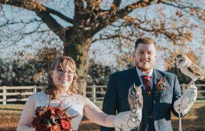 Wild Weddings!