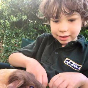 Get up close and personal to our habituated and trained Animal Ambassadors!