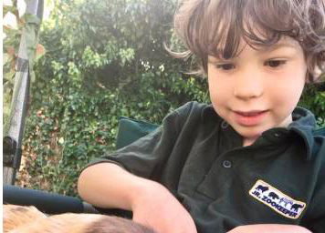 Get up close and personal to our habituated and trained Animal Ambassadors!