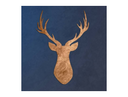 Madda Events Logo
