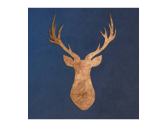Madda Events logo