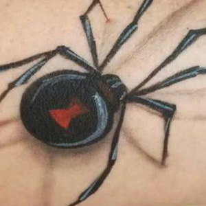 3D Spider