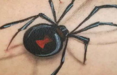 3D Spider