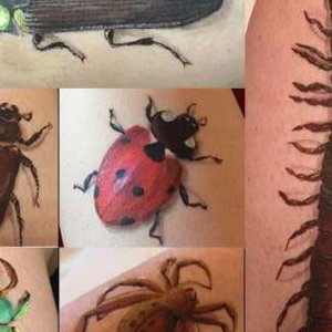 insects