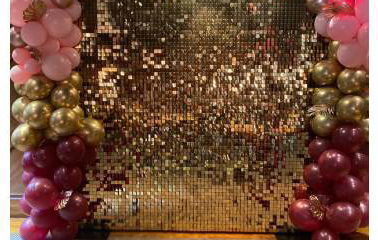 Sequins & Silk
