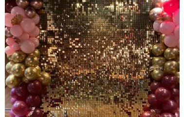 Sequins & Silk
