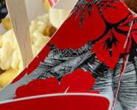 Surf N Fries packaging - all in one hand
