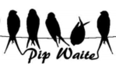 Pip Waites music
