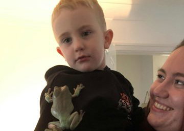 The tree frogs