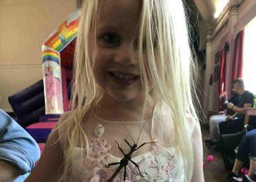 The giant stick insects