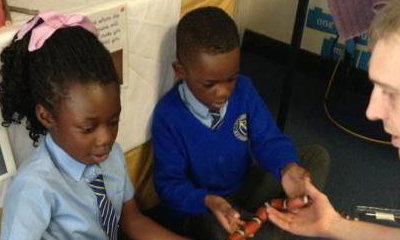 Wriggly Roadshow