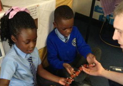 Wriggly Roadshow