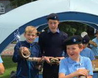 Some scouts meeting the animals