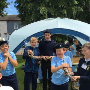 Some scouts meeting the animals