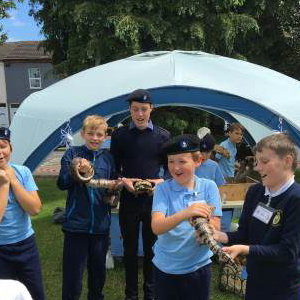 Some scouts meeting the animals
