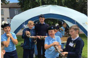 Wriggly Roadshow