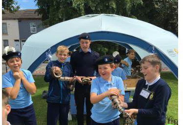 Some scouts meeting the animals