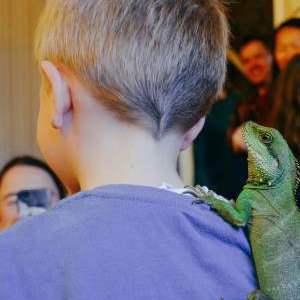 Neptune the water dragon hitching a ride!
