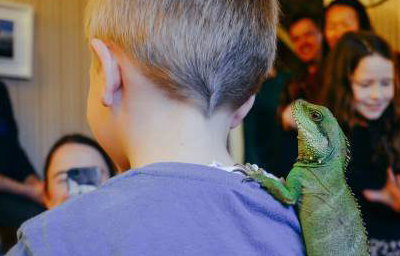 Neptune the water dragon hitching a ride!