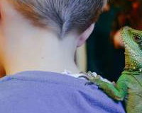 Neptune the water dragon hitching a ride!