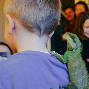 Neptune the water dragon hitching a ride!