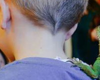 Neptune the water dragon hitching a ride!