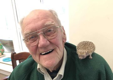 Needles the tenrec